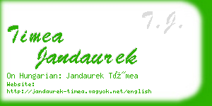 timea jandaurek business card